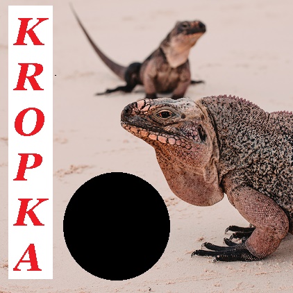 kropka